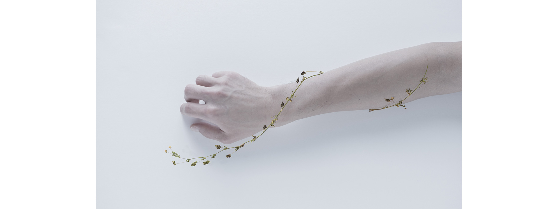 写真家 田川梨絵氏の写真