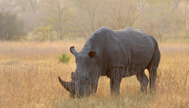 写真家 山形豪氏の写真
