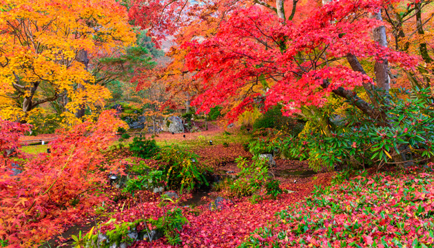 写真家 星野佑佳氏の写真