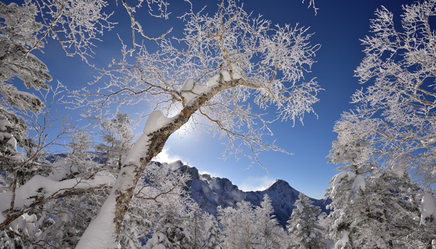 写真家 菊池哲男氏の写真