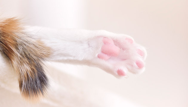 写真家 ミゾタユキ氏の写真