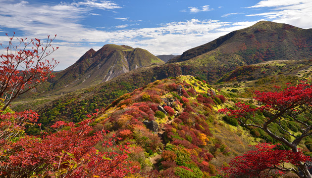 写真家 深澤武氏の写真