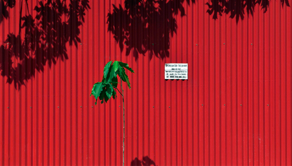 写真家 佐藤倫子氏の写真