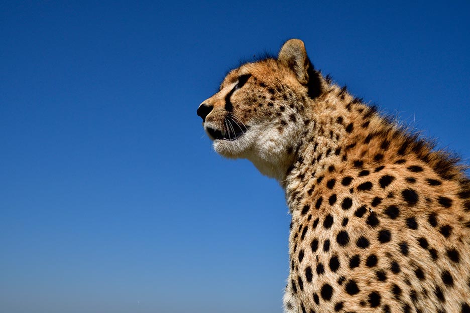 写真家 野口純一氏の写真