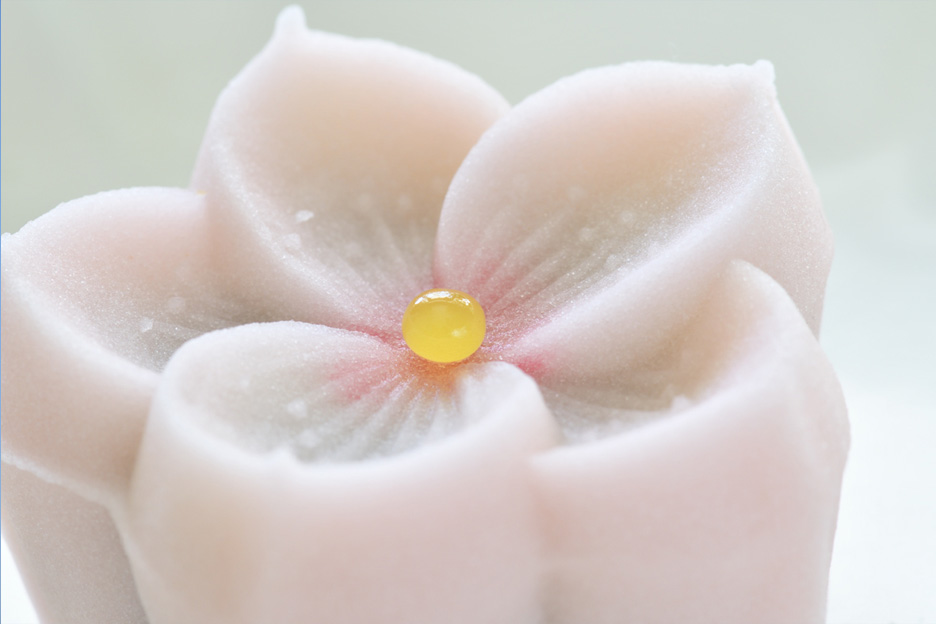 写真家 山口規子氏の写真