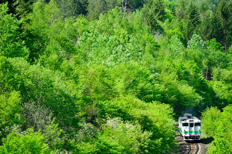 写真家 中井精也氏の写真