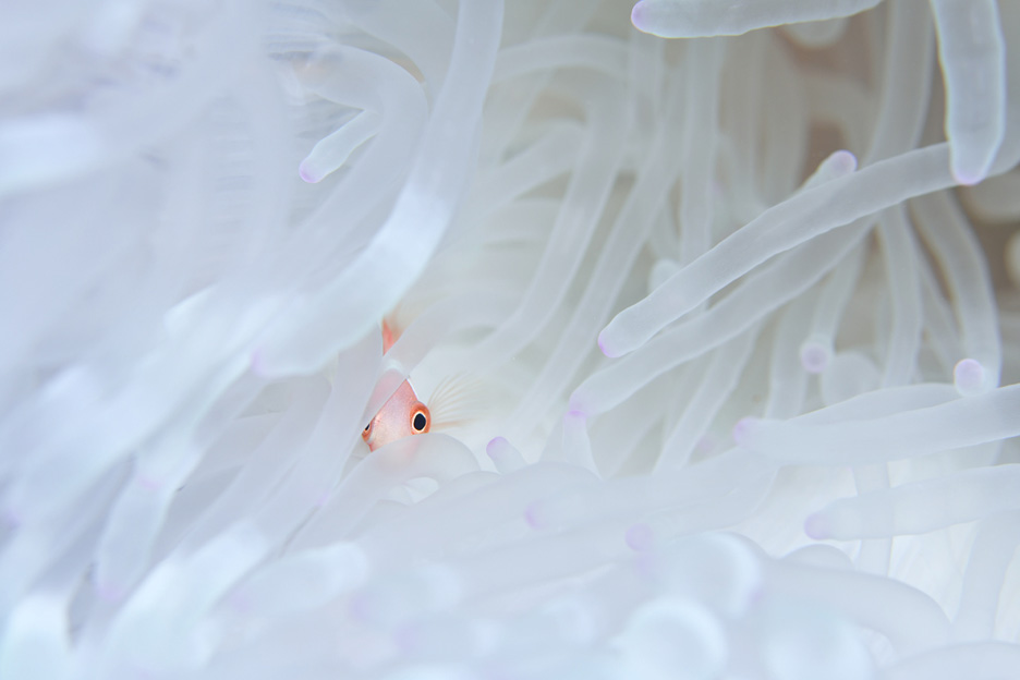 写真家 中村卓哉氏の写真