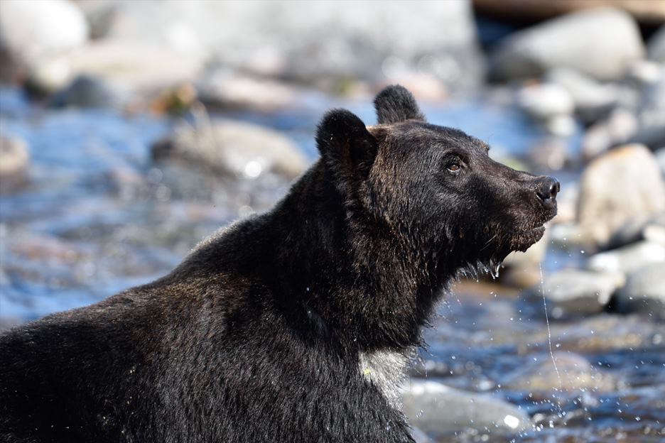 写真家 二神慎之介氏