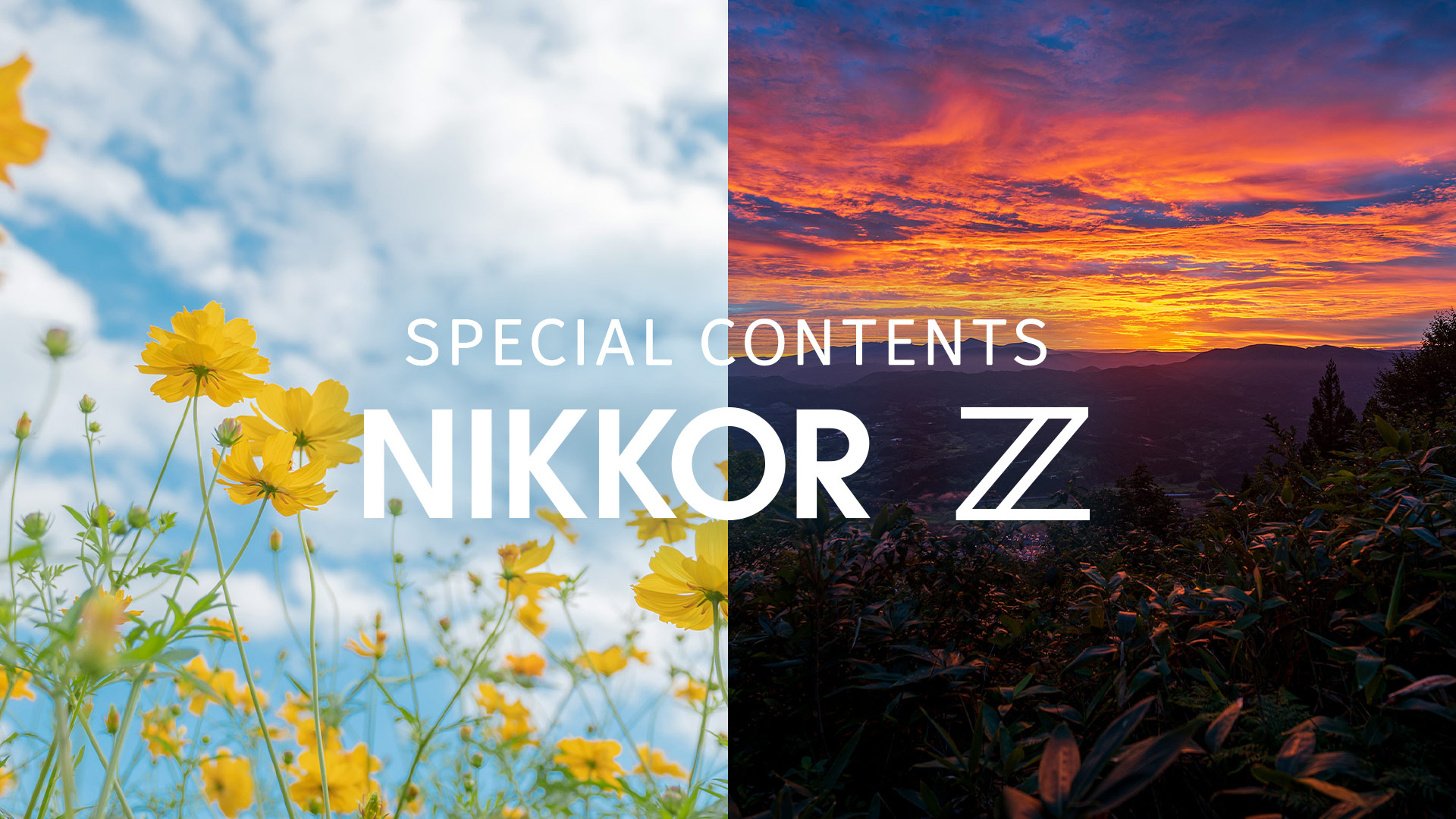 NIKKOR Z 17-28mm f/2.8 - 概要 | NIKKORレンズ | ニコン