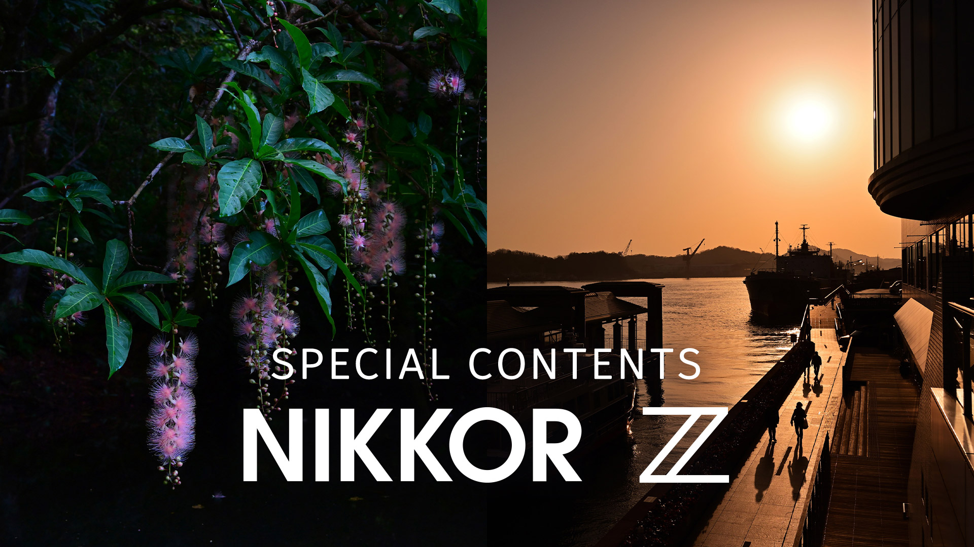 NIKKOR Z 24-200mm f/4-6.3 VR - 概要 | NIKKORレンズ | ニコン