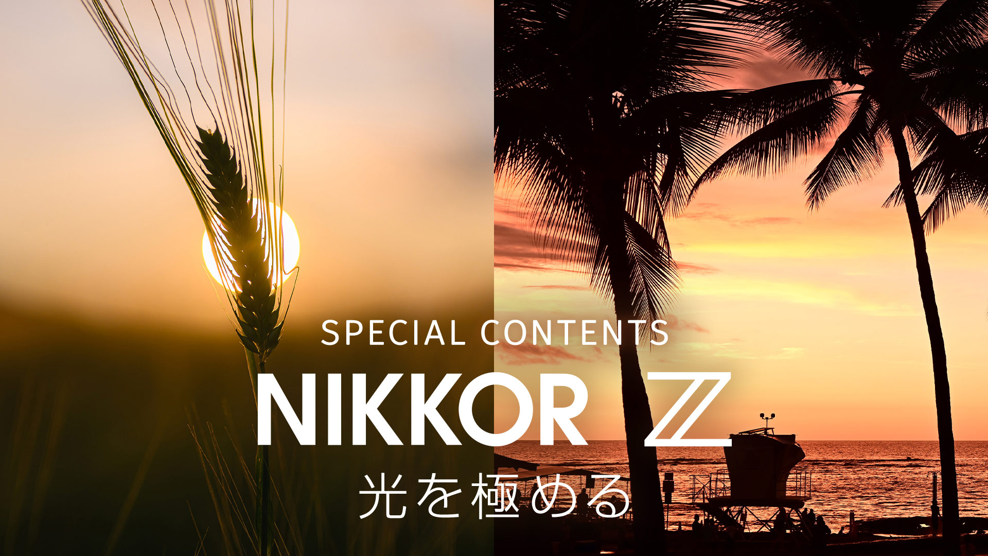 NIKKOR Z 50mm f/1.8 S - 概要 | NIKKORレンズ | ニコン