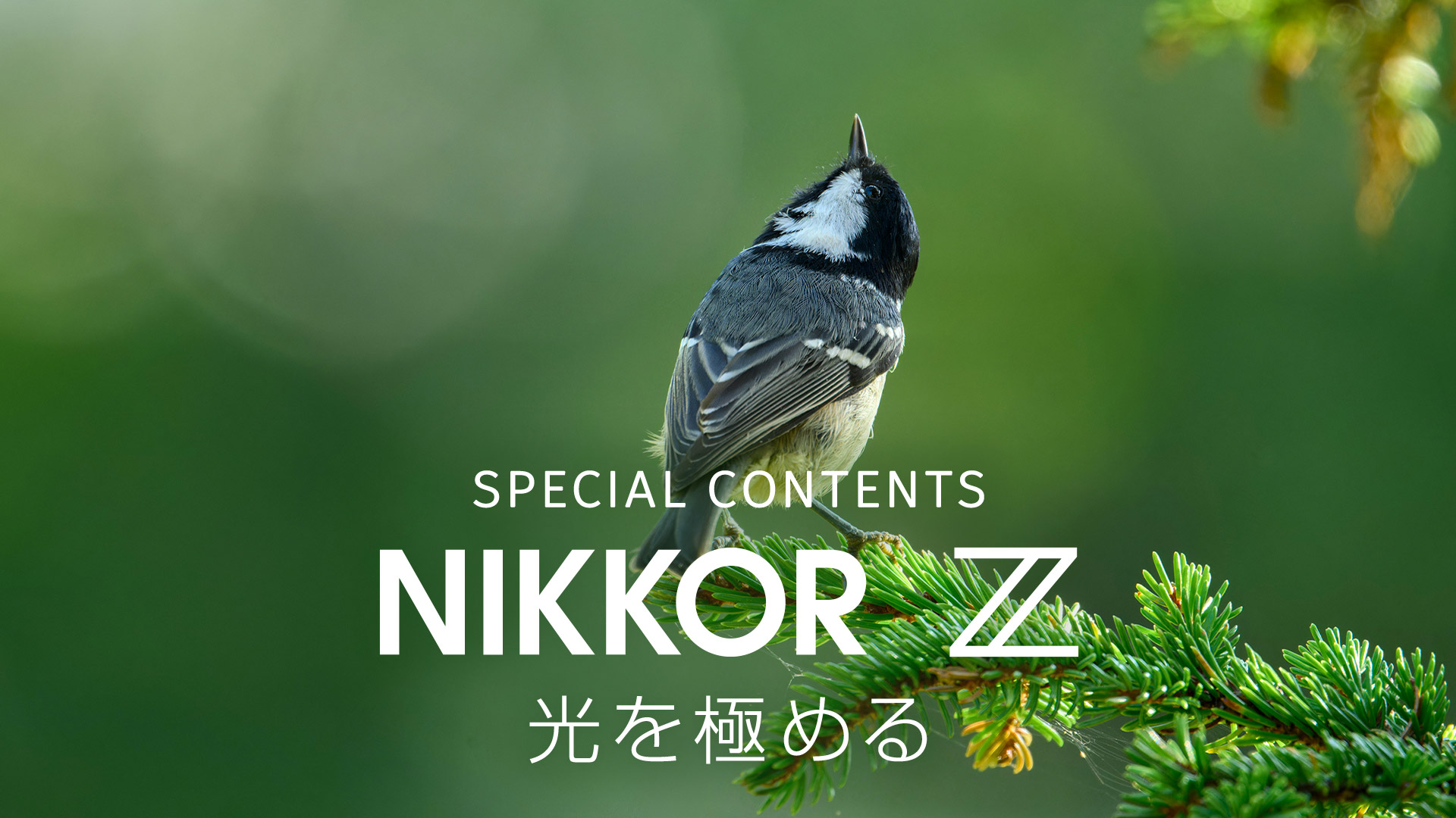 NIKKOR Z 600mm f/6.3 VR S | NIKKOR Z スペシャルコンテンツ | ニコン