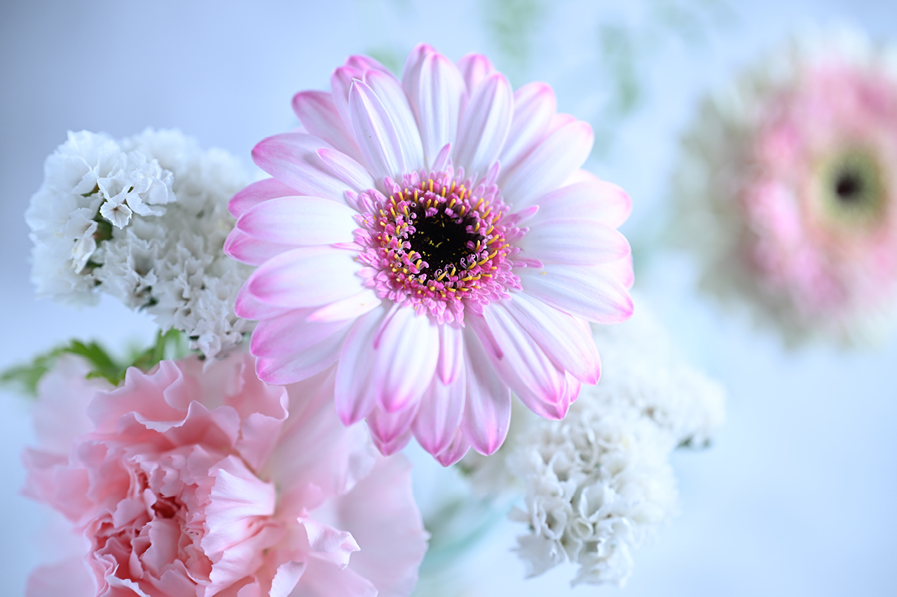 よりダイナミックな撮影を可能にする短い最短撮影距離