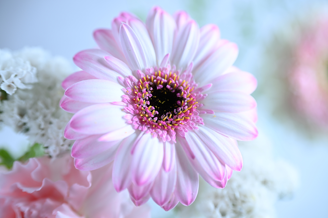 よりダイナミックな撮影を可能にする短い最短撮影距離