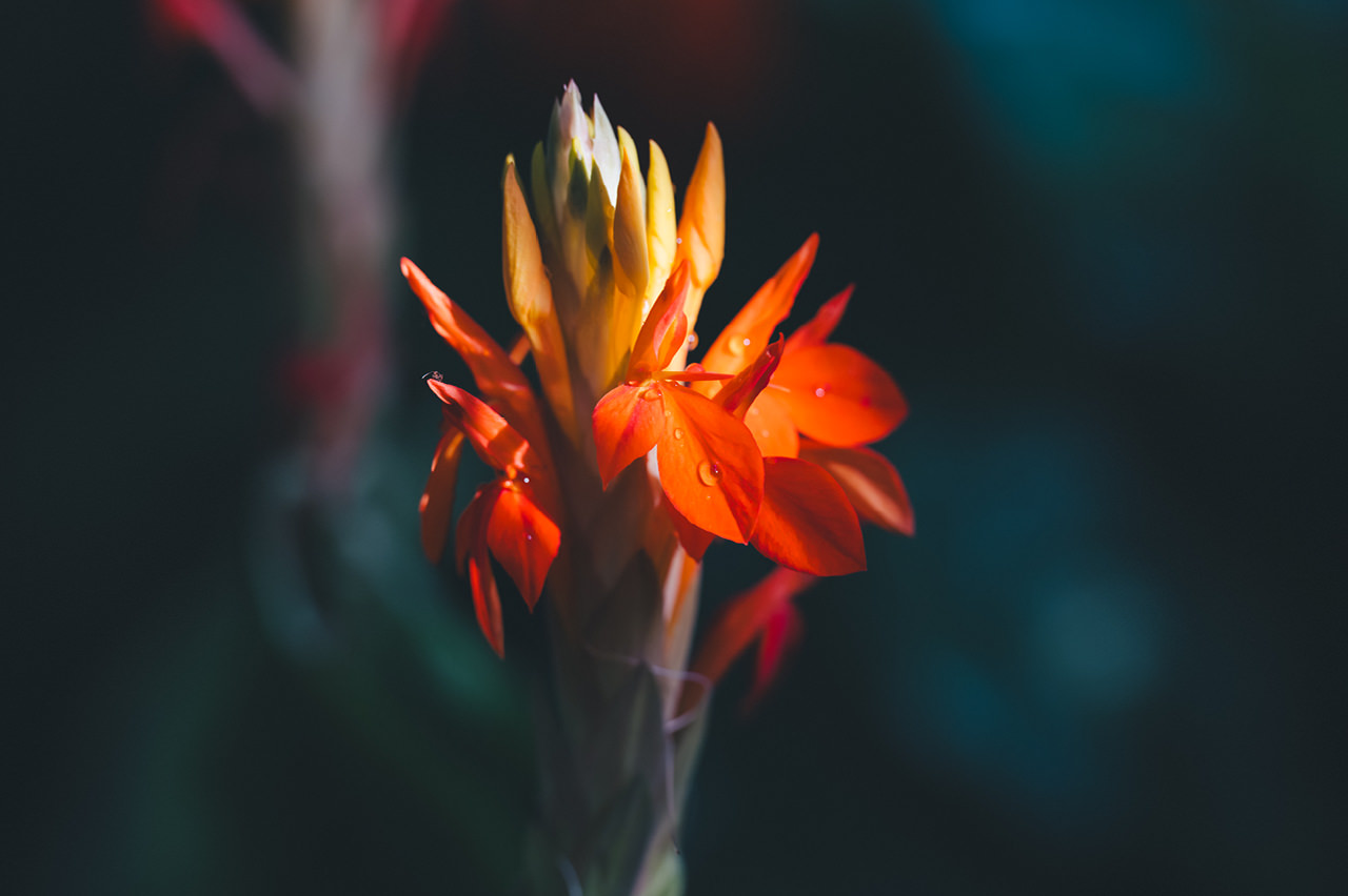 Photographer’s select 2