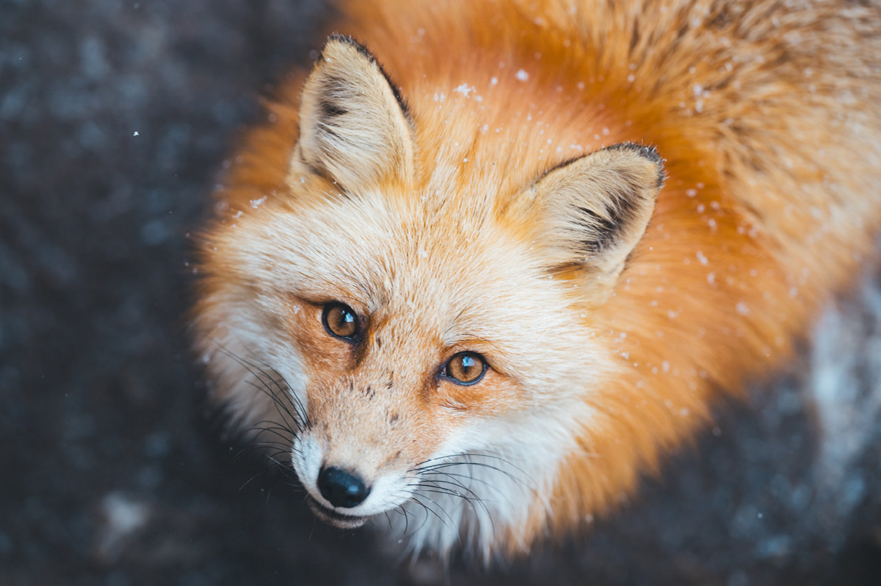 Photographer’s select 3