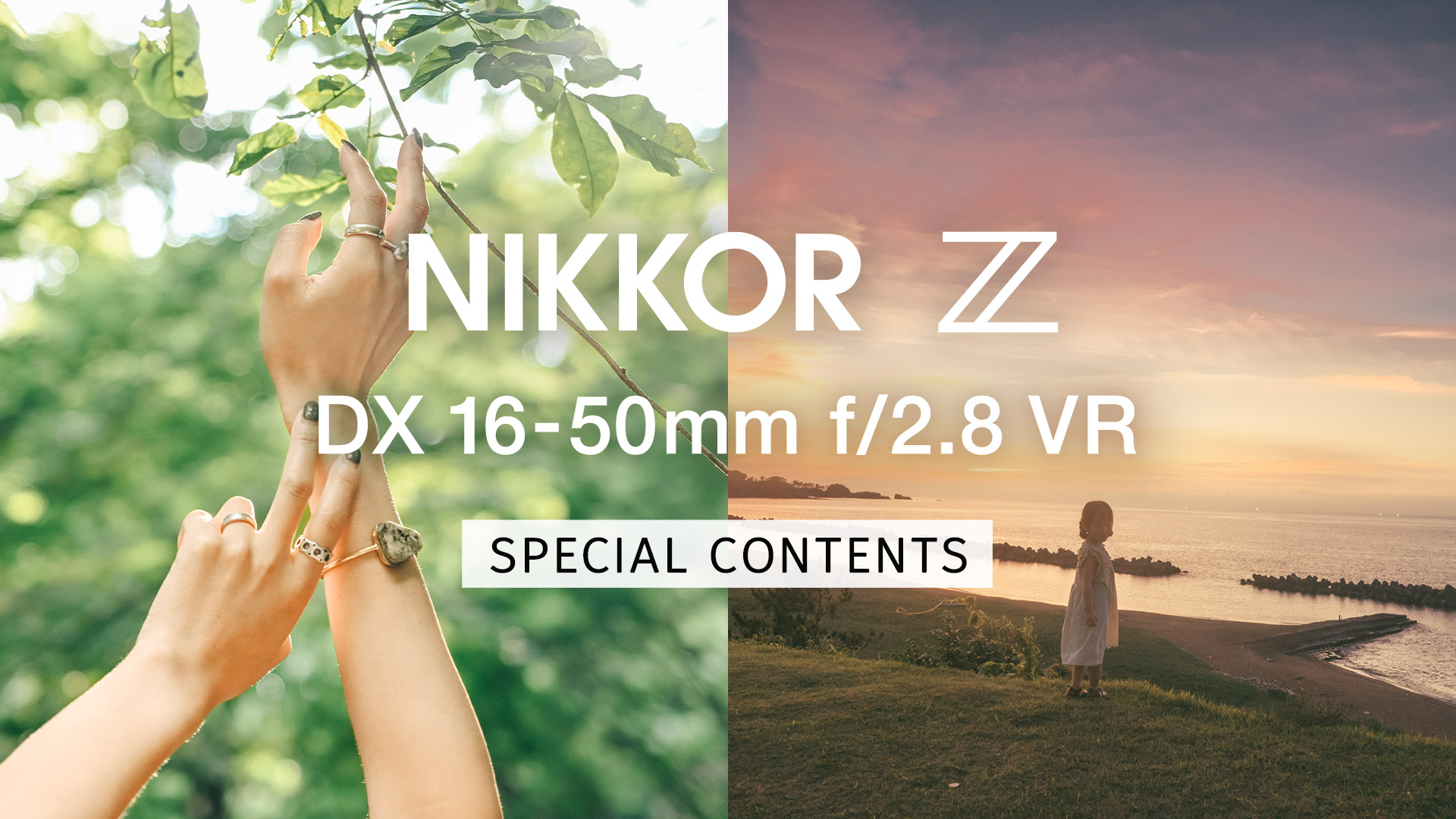 NIKKOR Z DX 16-50mm f/2.8 VR | NIKKOR Z スペシャルコンテンツ