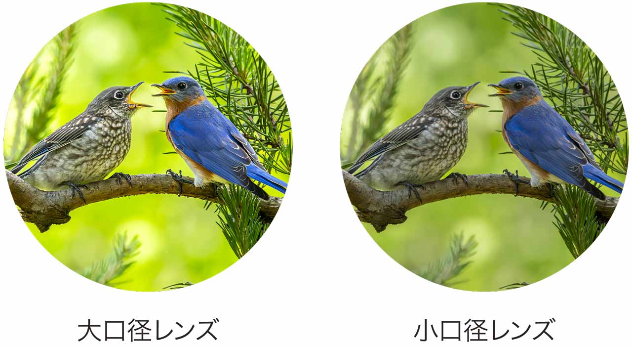 大口径対物レンズの高い集光力・分解能による、リアルで迫力のある見え味