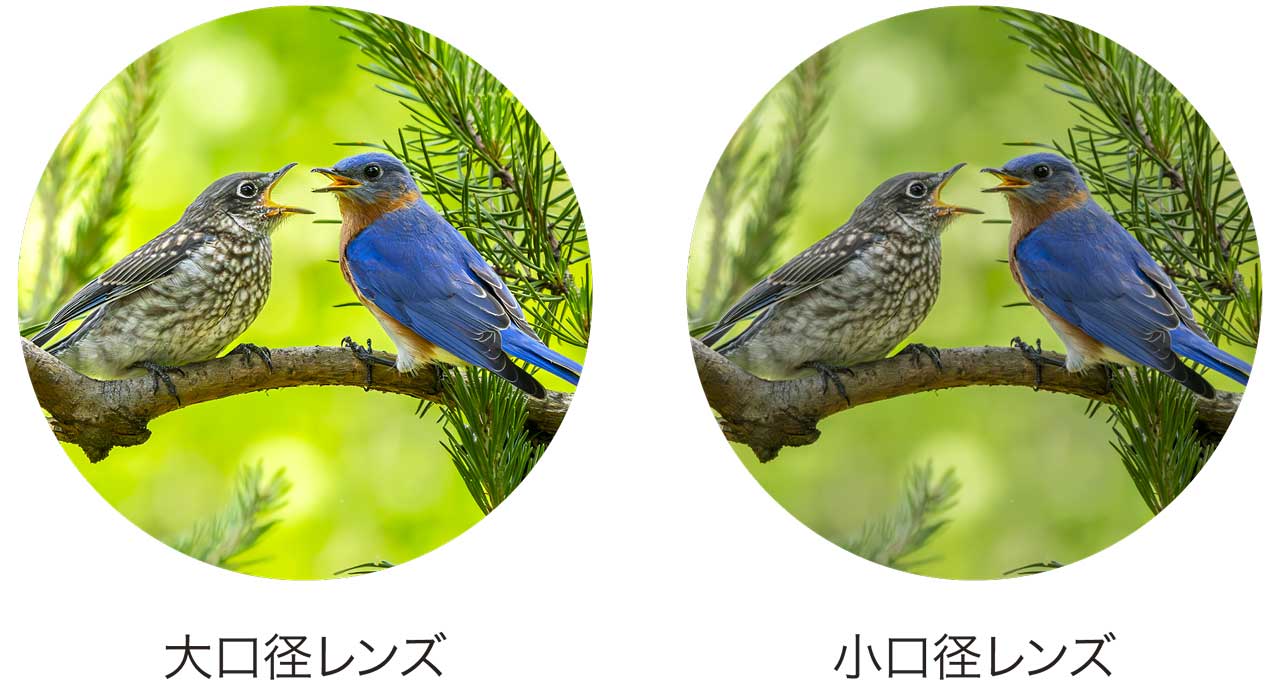 大口径対物レンズの高い集光力・分解能による、リアルで迫力のある見え味