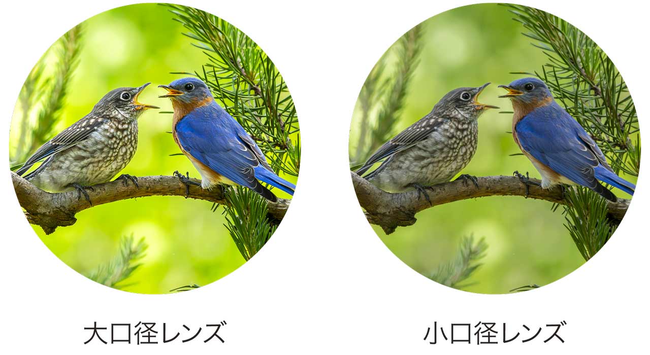 大口径対物レンズの高い集光力・分解能による、リアルで迫力のある見え味