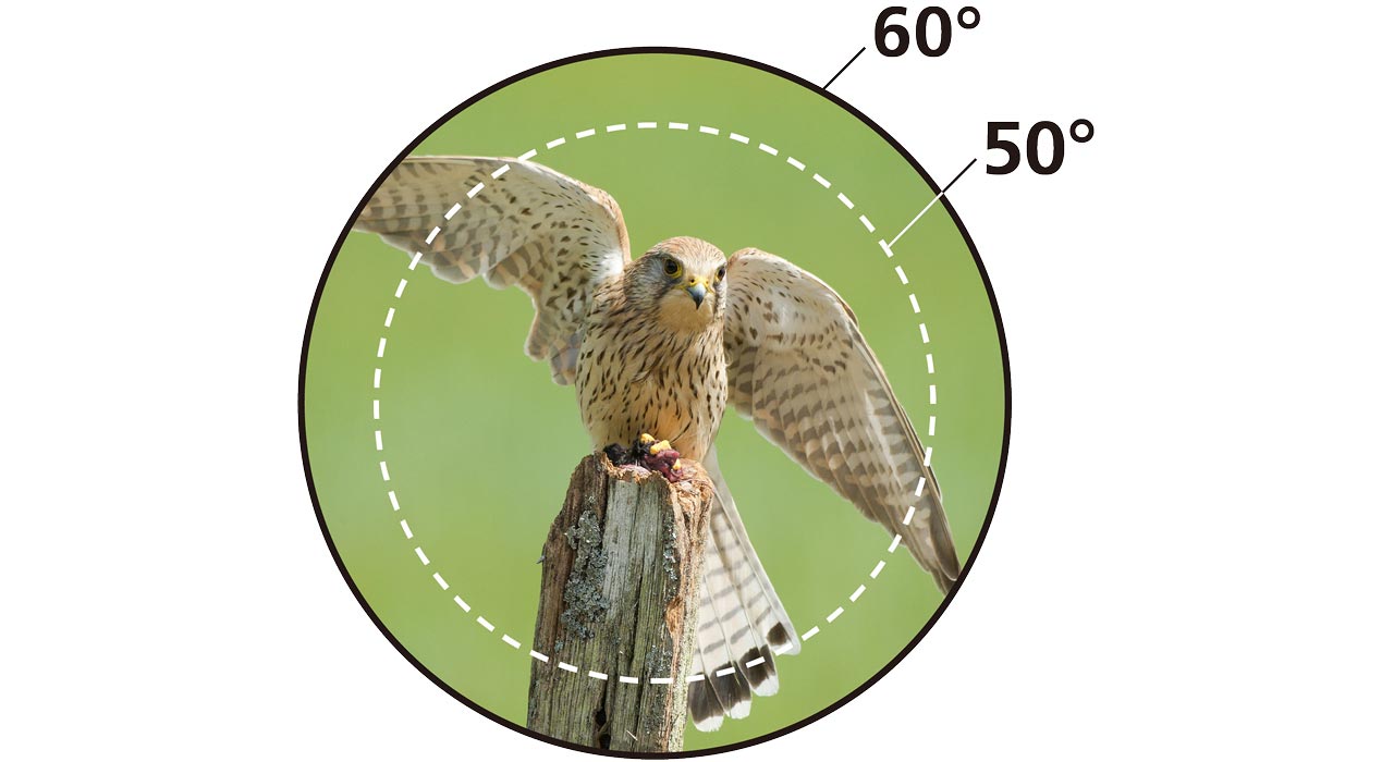 没入感を堪能できる広視界タイプ