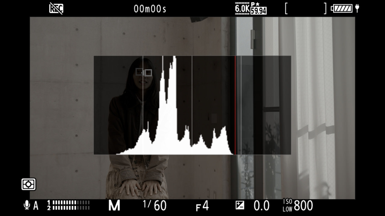 ［ヒストグラム］