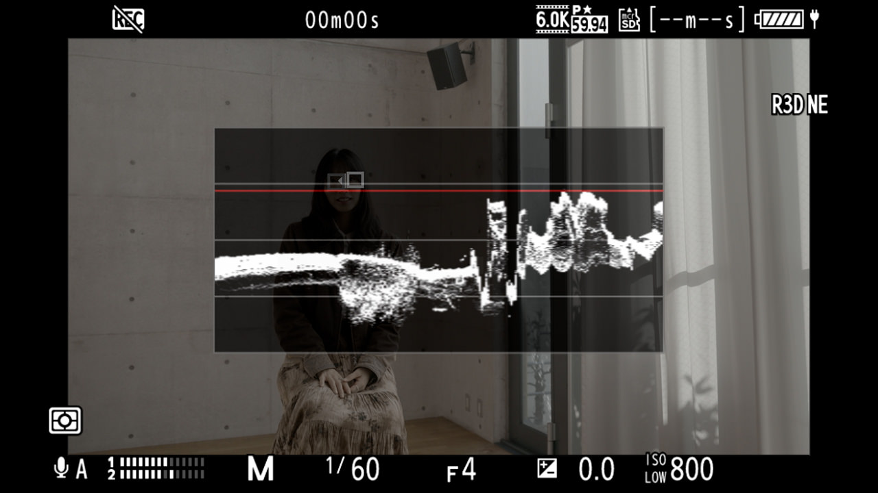 ［ウェーブフォームモニター］