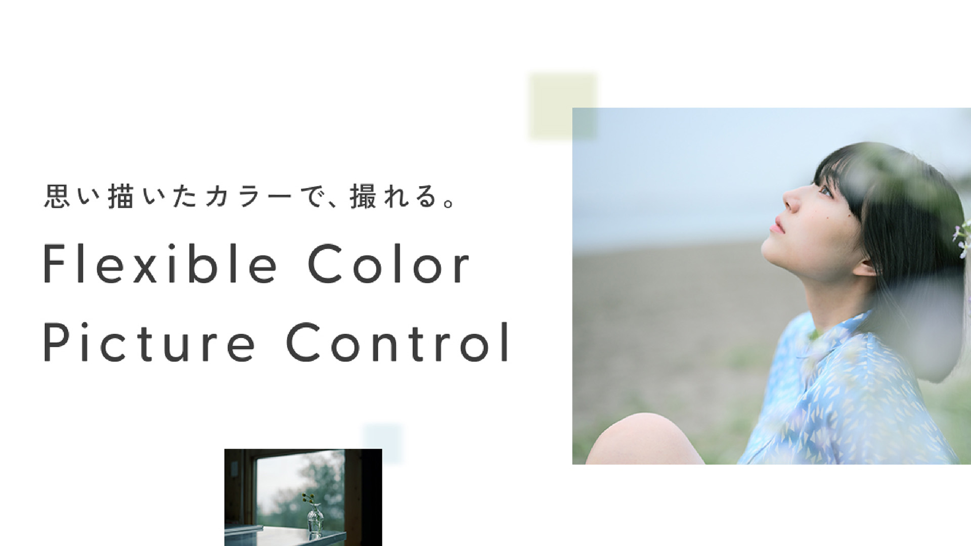 Flexible Color Picture Controlスぺシャルコンテンツ