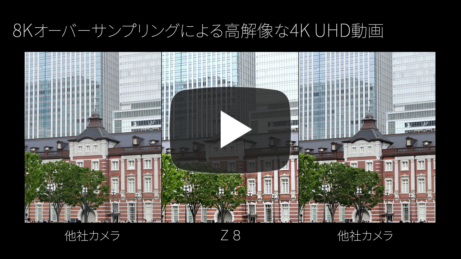 Z8動画
