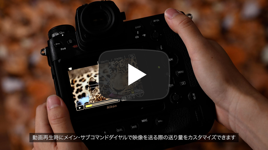 Z8動画