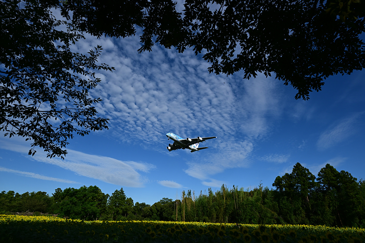 Z9 - 撮影サンプル | ミラーレスカメラ | ニコン