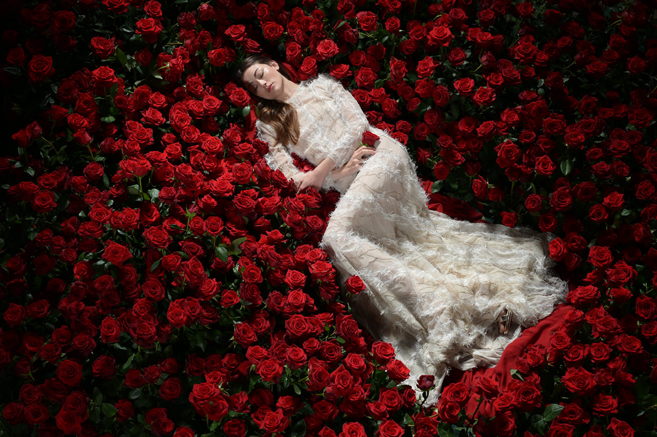 Z9 - 撮影サンプル | ミラーレスカメラ | ニコン