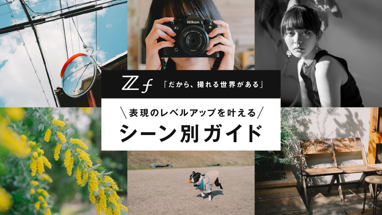 Nikon Zf表現のレベルアップを叶えるシーン別ガイド