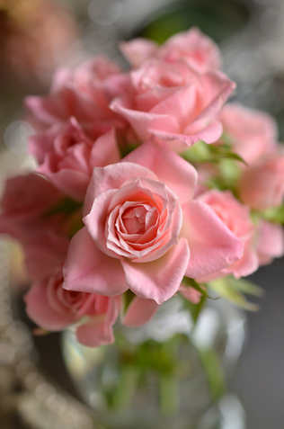 AF-S DX Micro NIKKOR 40mm f/2.8G サンプル1