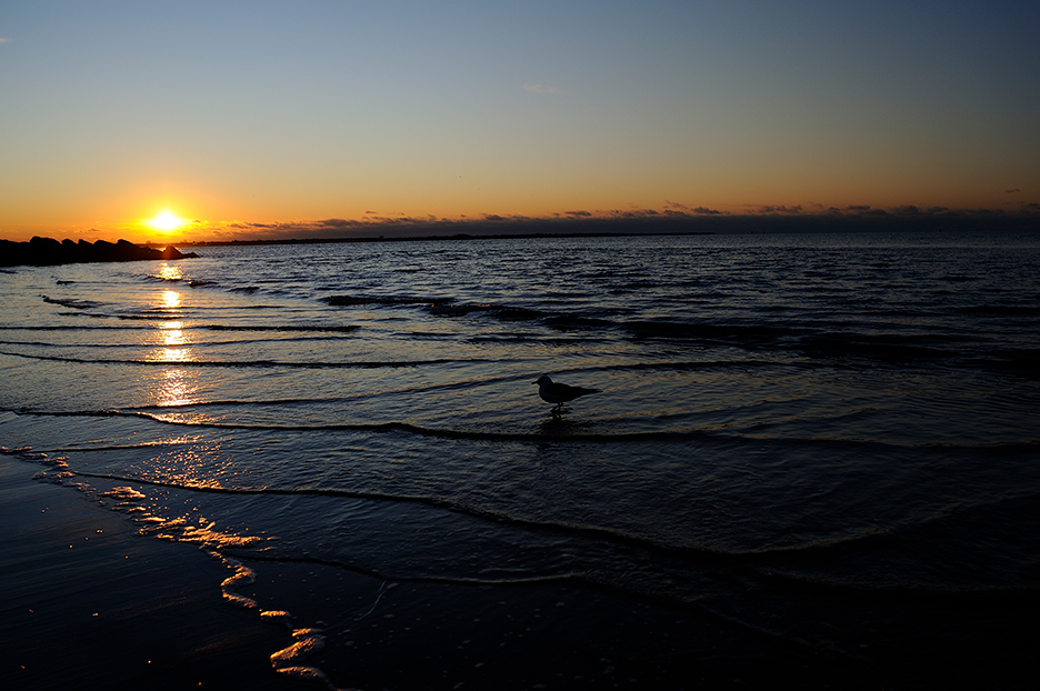 AF-S NIKKOR 28mm f/1.8G 06