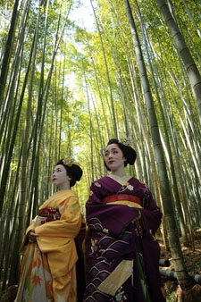 写真：サンプル