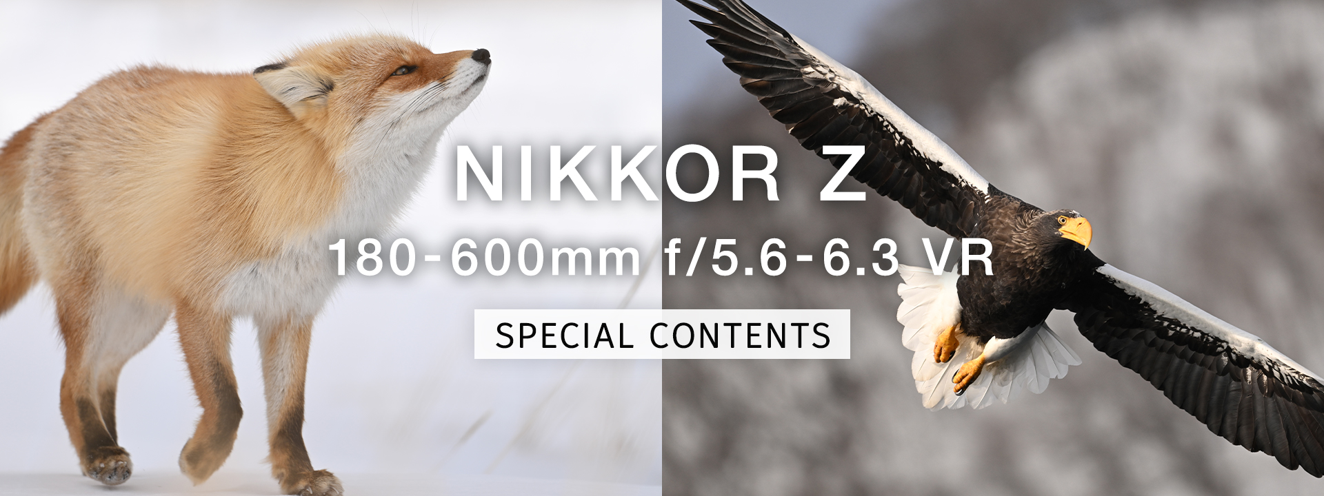 NIKKOR Z 180-600mm f/5.6-6.3 VR スペシャルコンテンツ