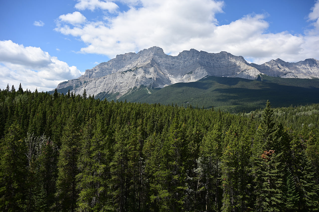 NIKKOR Z 24-120mm f/4 S - 撮影サンプル | NIKKORレンズ | ニコン