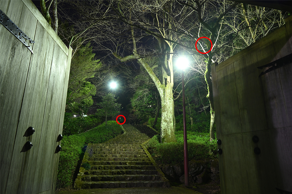 NIKKOR Z 24-70mm f/2.8 S 06