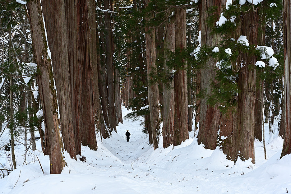 NIKKOR Z 24-70mm f/2.8 S サンプル3
