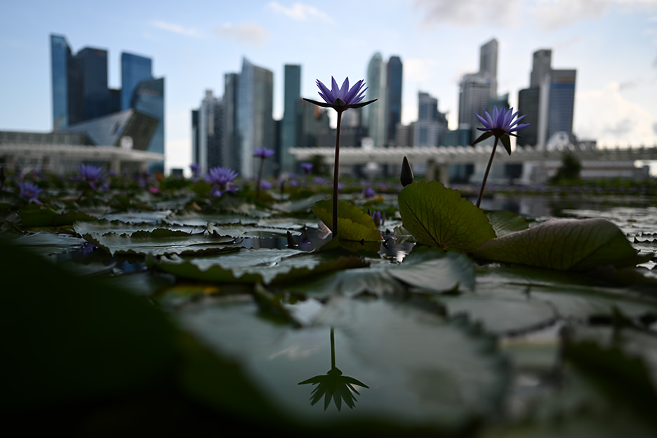 NIKKOR Z 24mm f/1.8 S サンプル4
