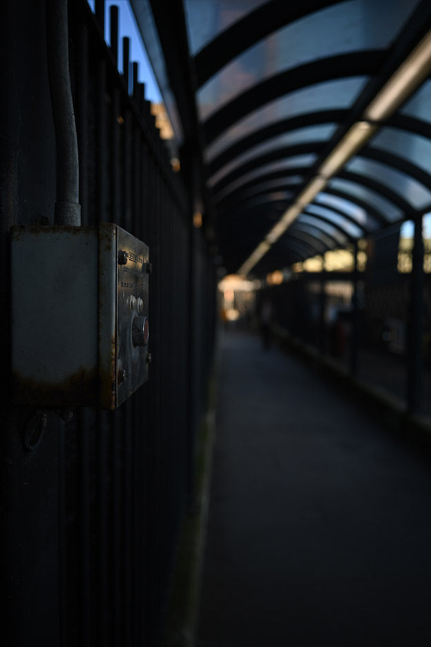 NIKKOR Z 26mm f/2.8 08