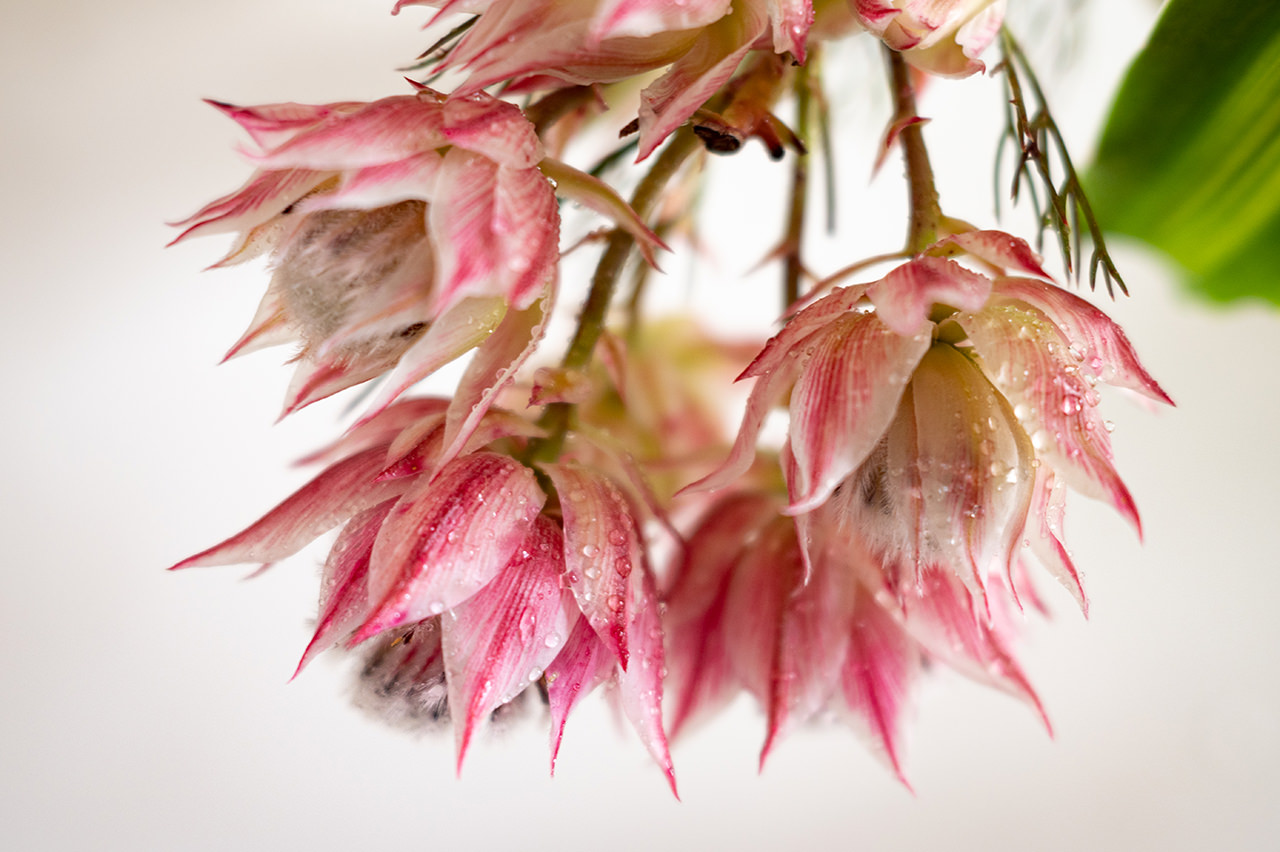 作例集 NIKKOR Z 28mm f/2.8 - 撮影サンプル | NIKKORレンズ | ニコン