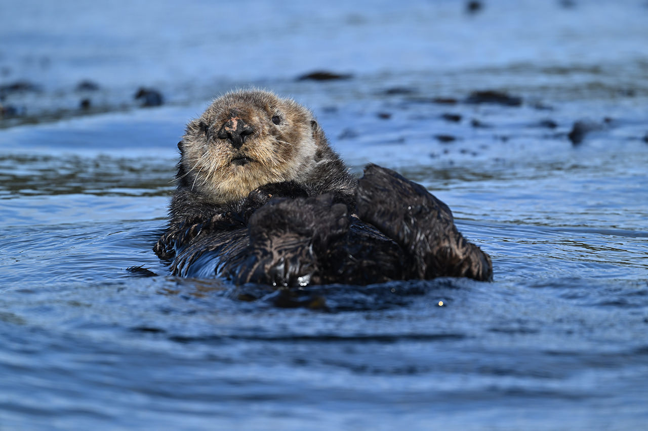 NIKKOR Z 400mm f/4.5 VR S - 撮影サンプル | NIKKORレンズ | ニコン