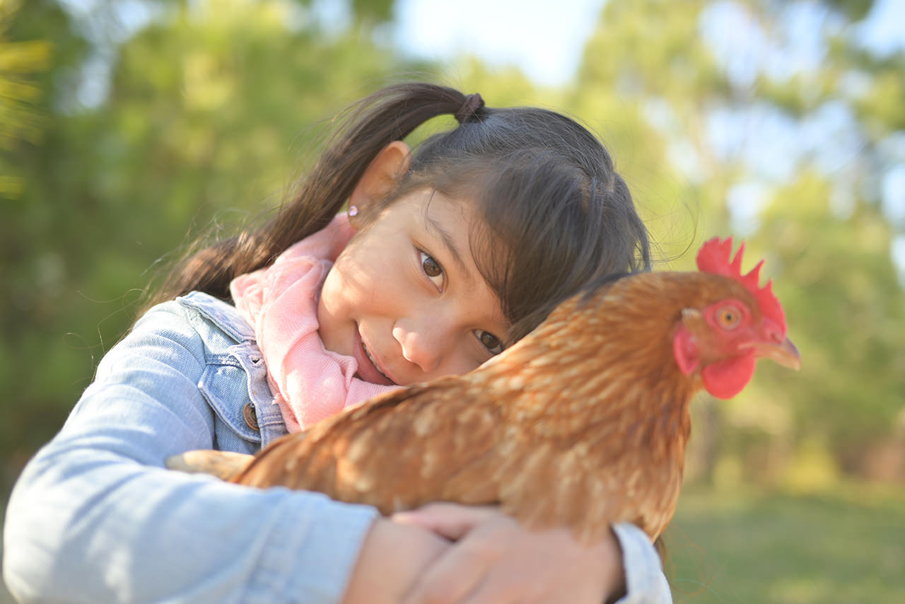 NIKKOR Z 40mm f/2 - 撮影サンプル | NIKKORレンズ | ニコン