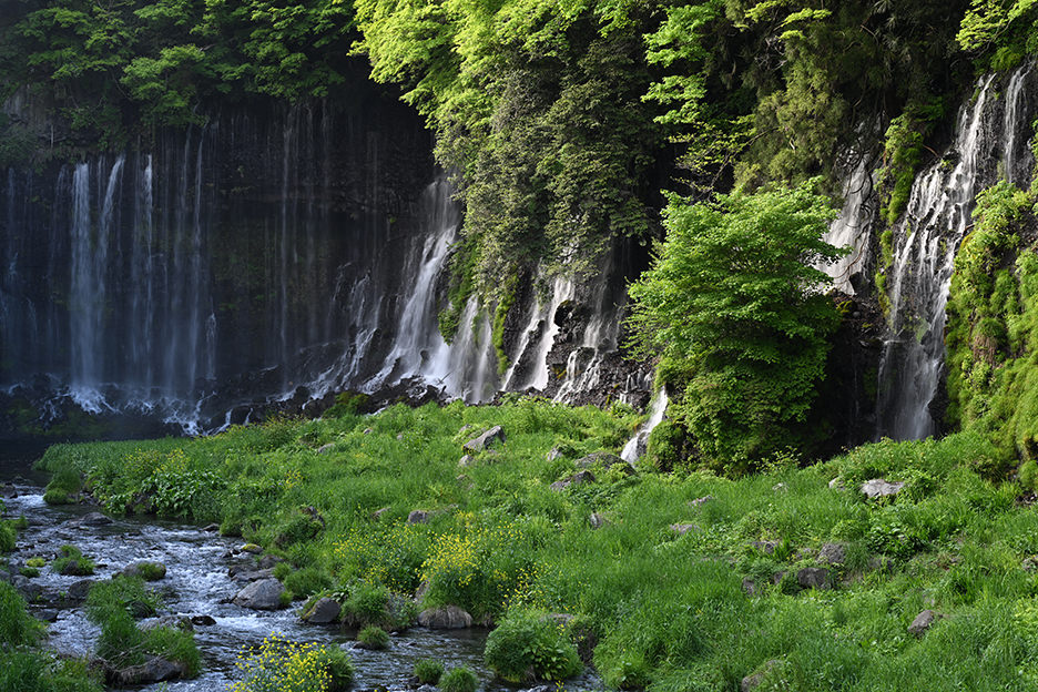 NIKKOR Z 70-180mm f/2.8 02