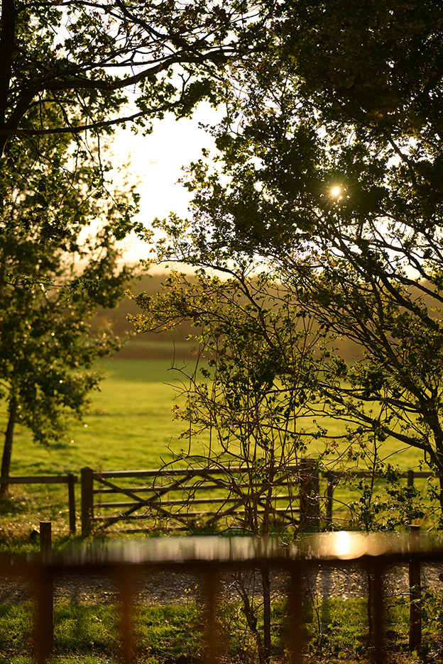 NIKKOR Z 85mm f/1.2 S 05