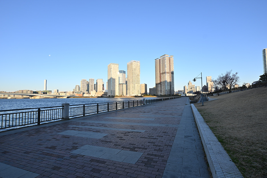 NIKKOR Z DX 12-28mm f/3.5-5.6 PZ VR 01