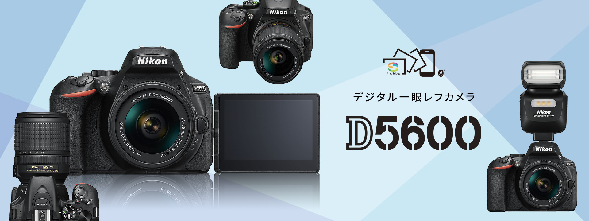 D5600