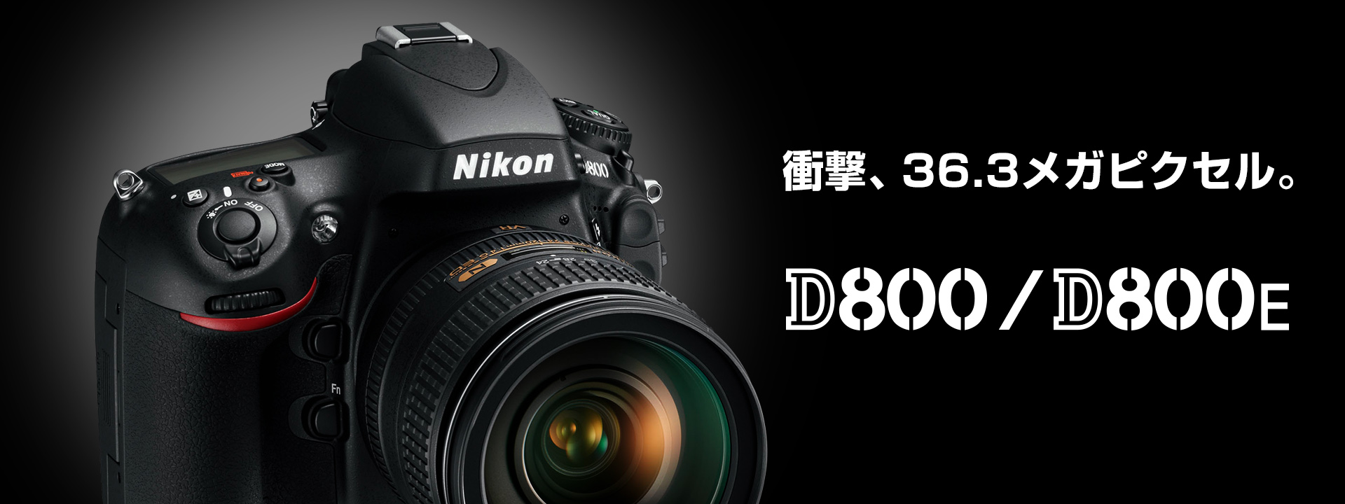 D800/D800E